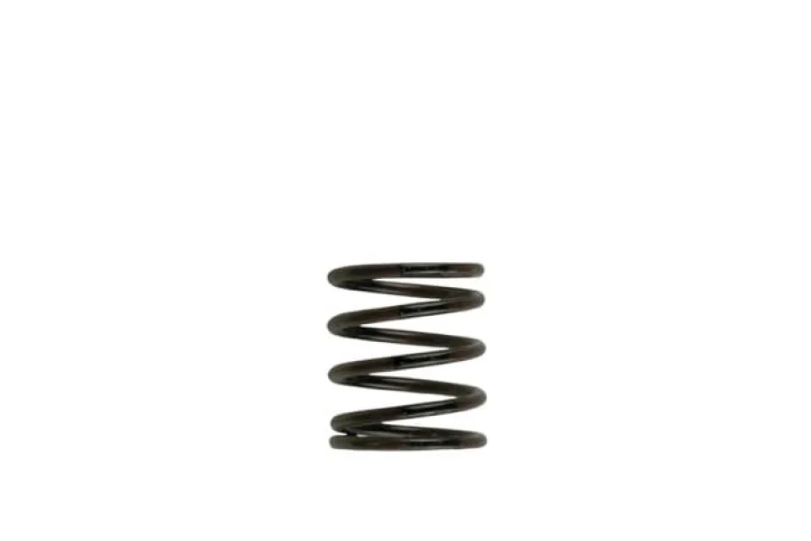 Turbosmart Gen4 / IWG WG38/40/45/50L 3PSI INNER SPRING - BROWN/BLACK, référence TS-0505-2001
