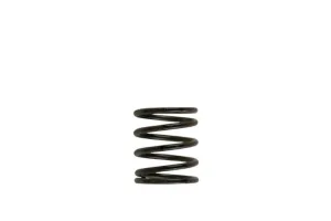 Turbosmart Gen4 / IWG WG38/40/45/50L 3PSI INNER SPRING - BROWN/BLACK, référence TS-0505-2001