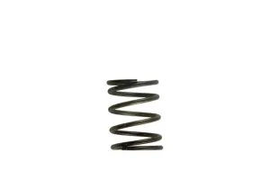 Turbosmart Gen4 / IWG WG38/40/45/50L 5PSI INNER SPRING - BROWN/GREY, référence TS-0505-2002