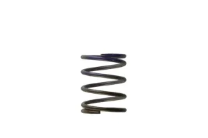 Turbosmart Gen4 / IWG WG38/40/45/50L 7PSI MIDDLE SPRING - BROWN/PURPLE, référence TS-0505-2003