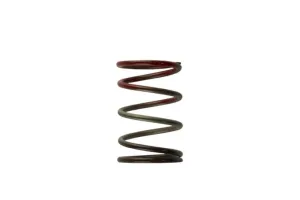Turbosmart Gen4 / IWG WG38/40/45/50L 11PSI MIDDLE SPRING - BROWN/RED, référence TS-0505-2004
