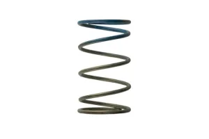 Turbosmart Gen4 / IWG WG38/40/45/50L 10PSI OUTER SPRING - BROWN/BLUE, référence TS-0505-2005
