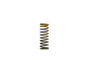 Turbosmart Gen4 WG38/40/45/50L HP 10 PSI Inner Spring Brown/Orange, référence TS-0505-2012