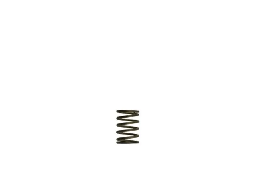 Turbosmart GenV WG38/40 3psi Black Inner Spring, référence TS-0550-3081