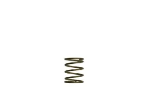 Turbosmart GenV WG45/50 3psi Orange Inner Spring, référence TS-0550-3085