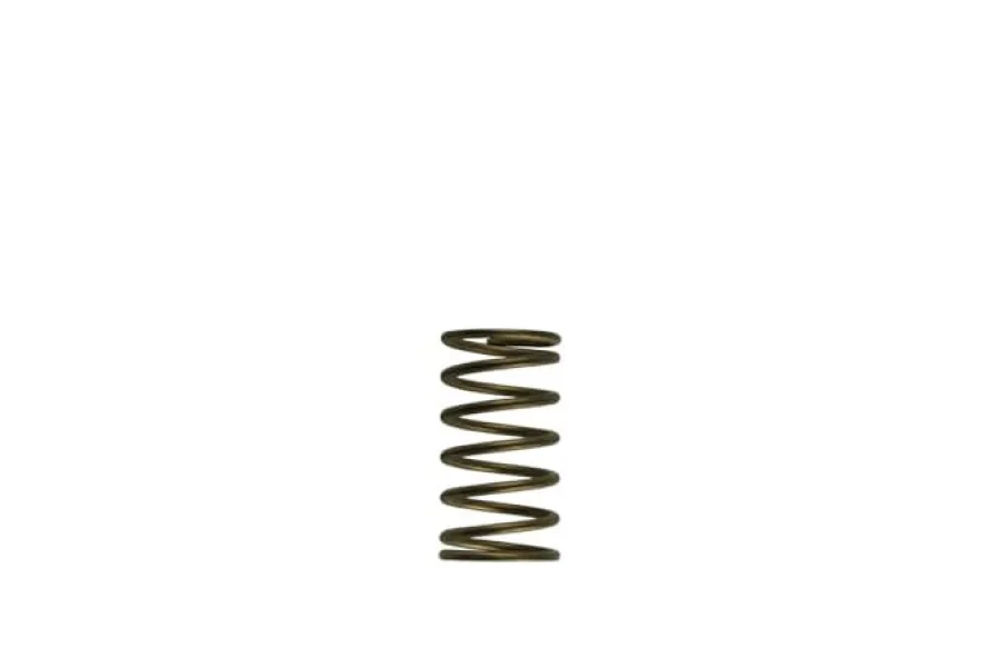 Turbosmart GenV WG60 3psi Inner Spring, référence TS-0550-3089