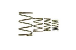 Turbosmart GenV WG38/40 Spring Replacement Kit, référence TS-0550-3150