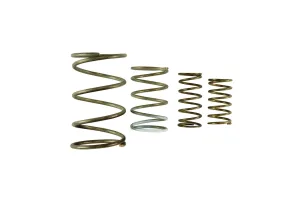 Turbosmart GenV WG60 Spring Replacement Kit, référence TS-0550-3152