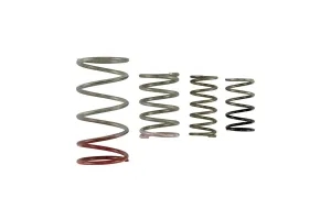 Turbosmart GenV IWG Spring Replacement Kit, référence TS-0600-2011