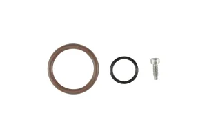 Turbosmart Oil Cap - LS O-Ring, référence TS-0893-3002