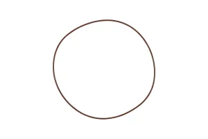Turbosmart TS-1 and TS-2 Replacement O-Ring for B Frame Turbos, référence TS-199-3014